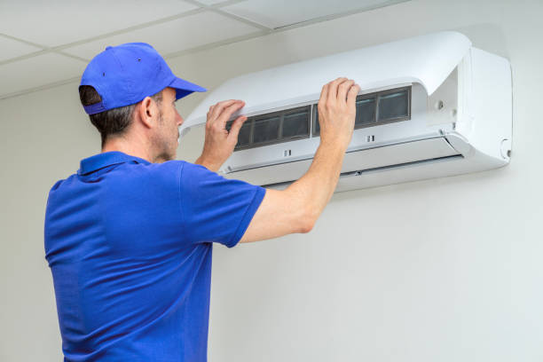Air Duct Mold Removal in Kalaeloa, HI